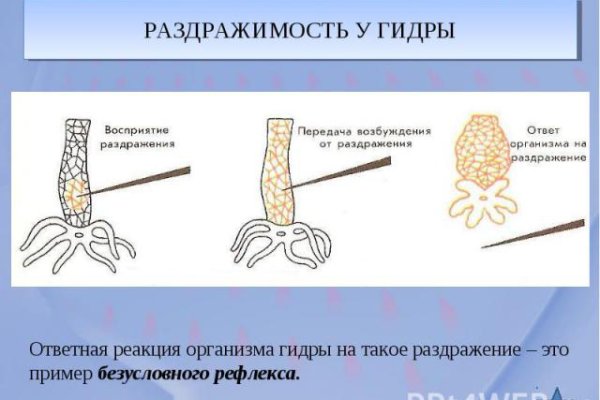 Kraken13 at сайт