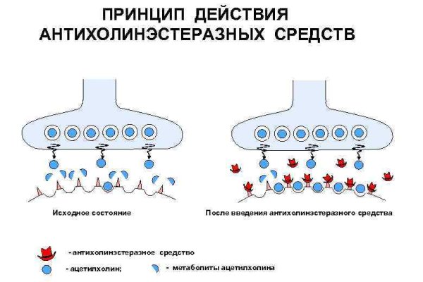 Что такое кракен маркетплейс курительный смесс